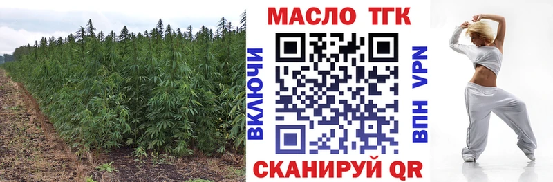 Купить закладки  Судогда  ТГК вейп 