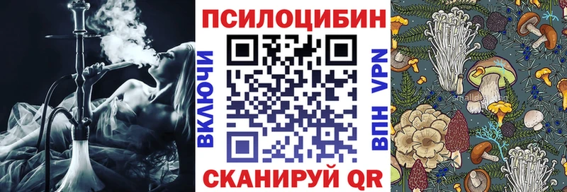 Галлюциногенные грибы MAGIC MUSHROOMS  Купить  Судогда 